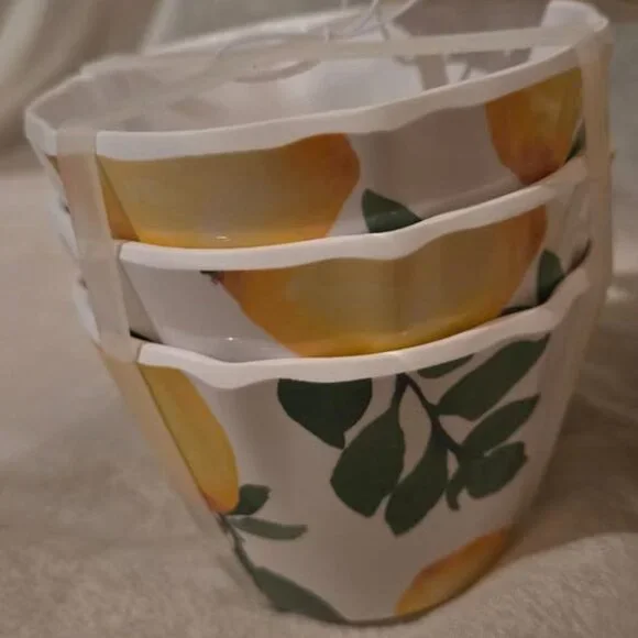 SOUTHERN LIVING MELAMINE 8 SALAD/DESSERT PLATES 2 TRAYS 6 DIPPING BOWLS LEMON
